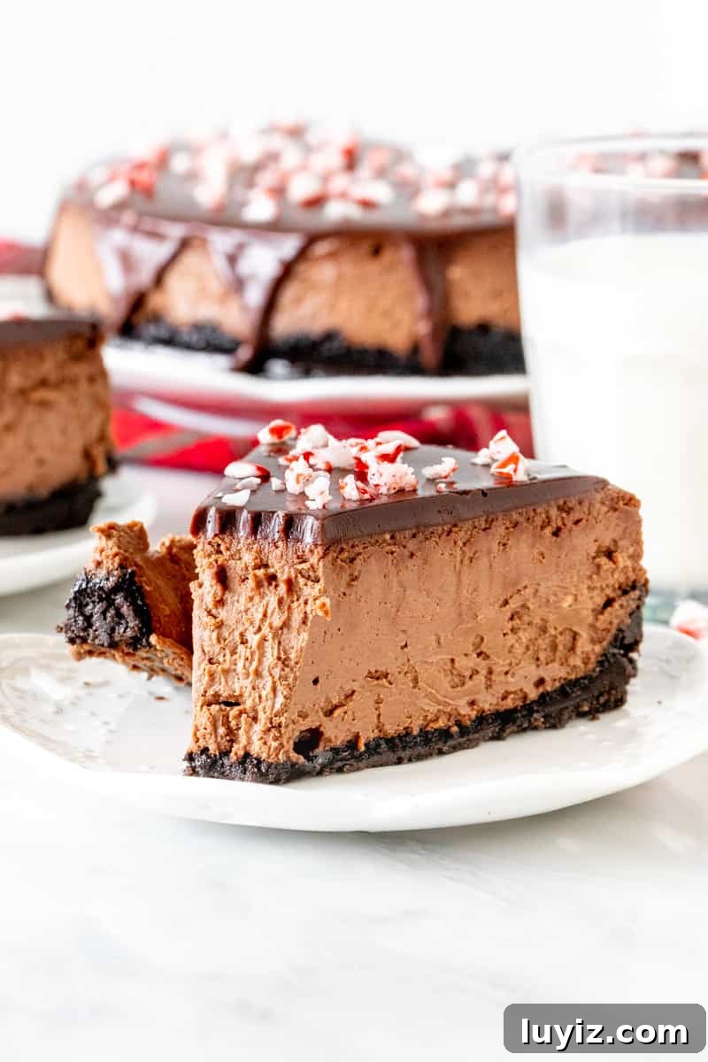 Chocolate Peppermint Cheesecake Recipe for the Holidays 4 Slice of chocolate candy cane cheesecake with a bite taken out of it