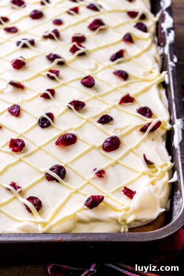 Festive Cranberry Christmas Cake Recipe for Holiday Parties 3 Cranberry cake - with white chocolate cream cheese frosting.