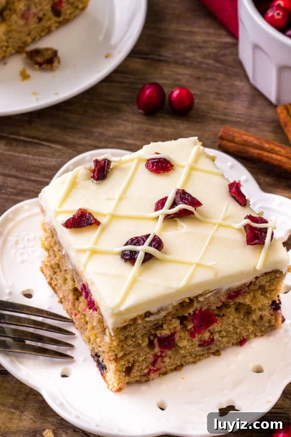 Festive Cranberry Christmas Cake Recipe for Holiday Parties 4 A slice of cranberry christmas cake -made with cinnamon, brown sugar, orange zest and fresh cranberries.