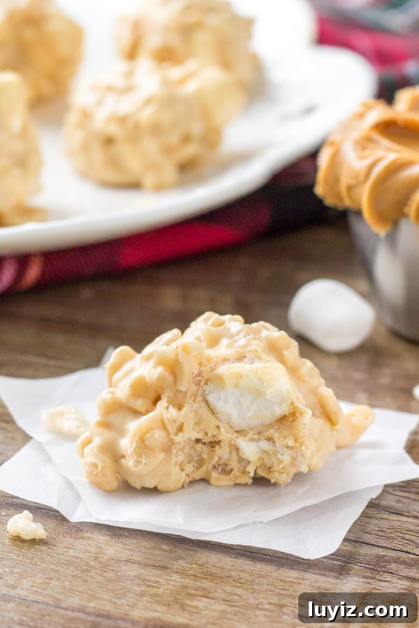 No-Bake Avalanche Cookies Recipe with Just 4 Ingredients 5 No bake avalanche cookies - completely no bake, crispy, crunchy, sweet & salty! Filled with marshmallows and white chocolate.