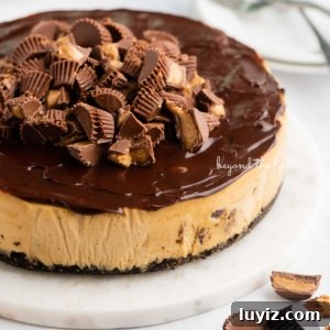 Reese’s Peanut Butter Cup Cheesecake Recipe: Decadent No-Bake Dessert 14 Reese's peanut butter cup cheesecake with chocolate ganache and chopped mini Reese's cups on top on a cake plate.