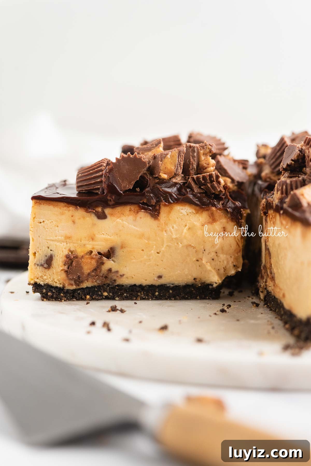Reese’s Peanut Butter Cup Cheesecake Recipe: Decadent No-Bake Dessert 7 Side view of Reese's peanut butter cup cheesecake topped with chocolate ganache and chopped mini Reese's cups.