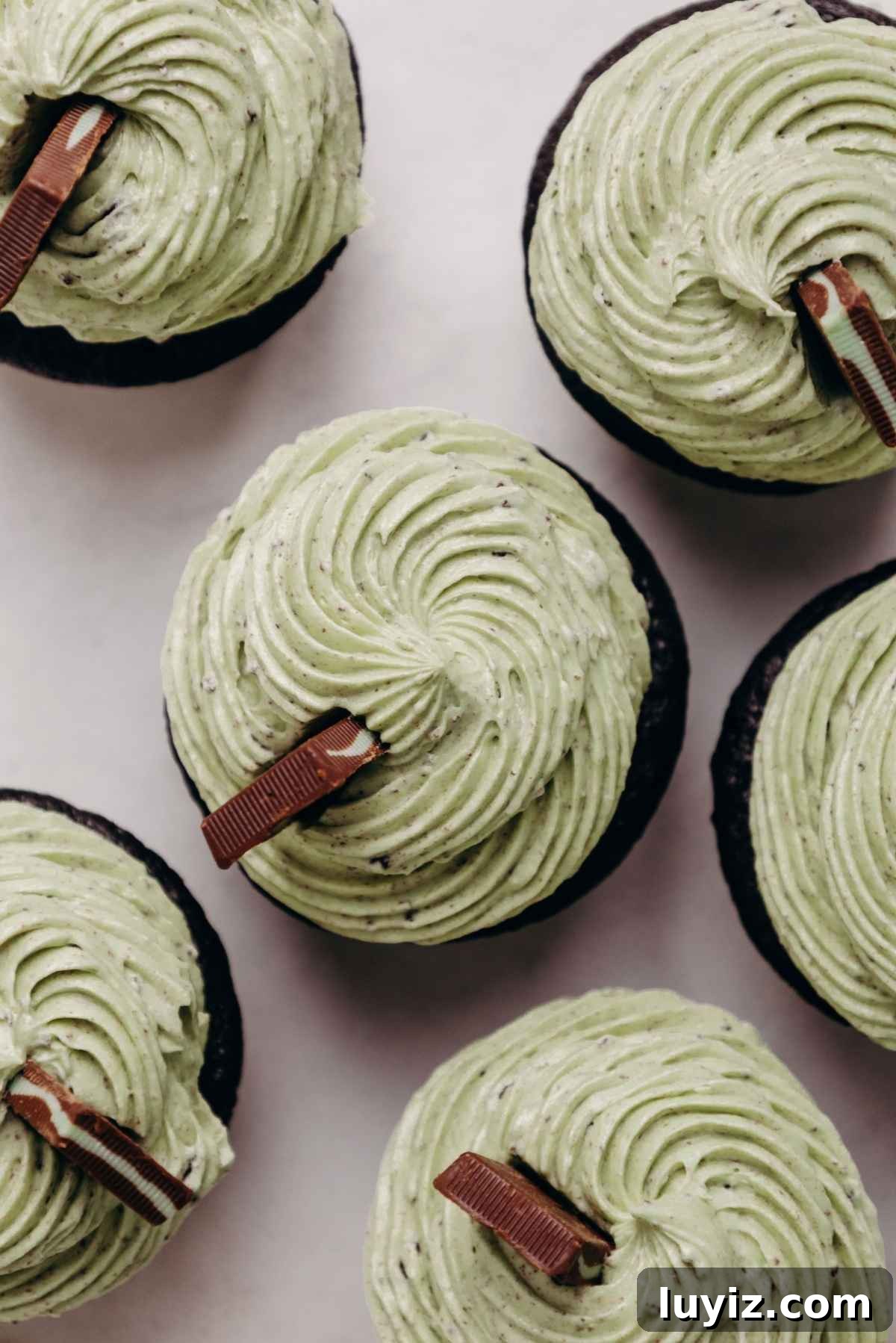 Mint Chocolate Cupcake Recipe: Moist Chocolate Cakes with Minty Frosting 16 Mint chocolate cupcakes filled with mint chocolate ganache, topped with a mint chocolate oreo buttercream frosting, and garnished with Andes mint chocolate candy.