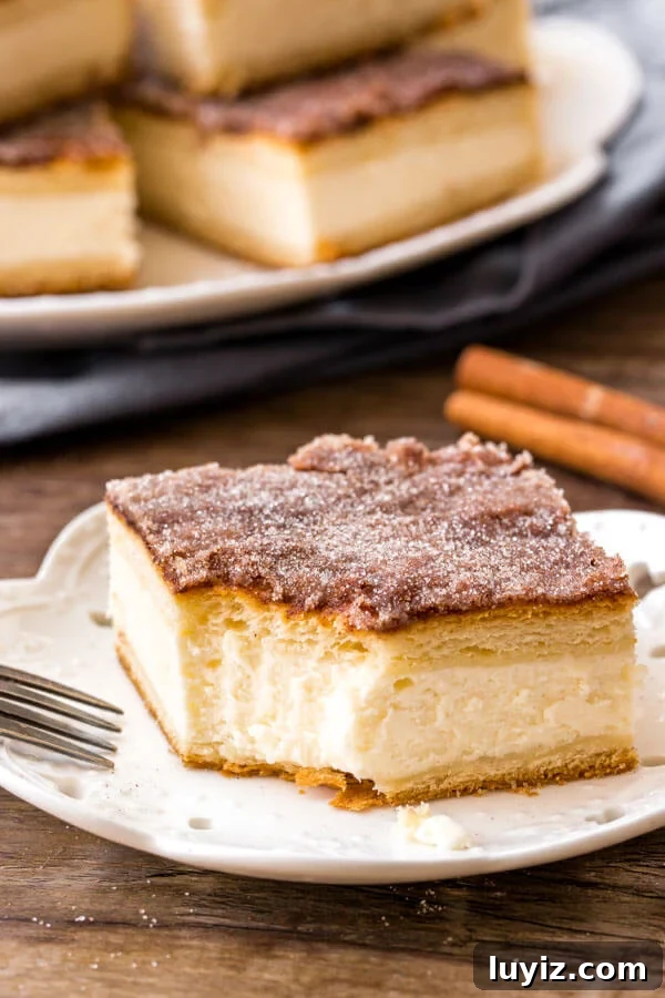 Sopapilla Cheesecake Bars Recipe — Flaky Cinnamon Sugar Bars 5 Sopapilla cheesecake with 2 layers of flaky pastry and cinnamon sugar topping.