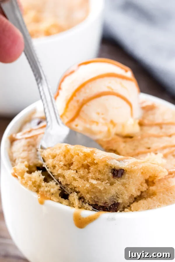 30-Minute Peanut Butter Mug Cake Recipe for One 3 A bite of peanut butter mug cake that's moist and tender with chocolate chips.
