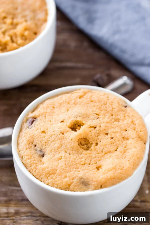 30-Minute Peanut Butter Mug Cake Recipe for One 4 Microwave peanut butter mug cake with chocolate chips.