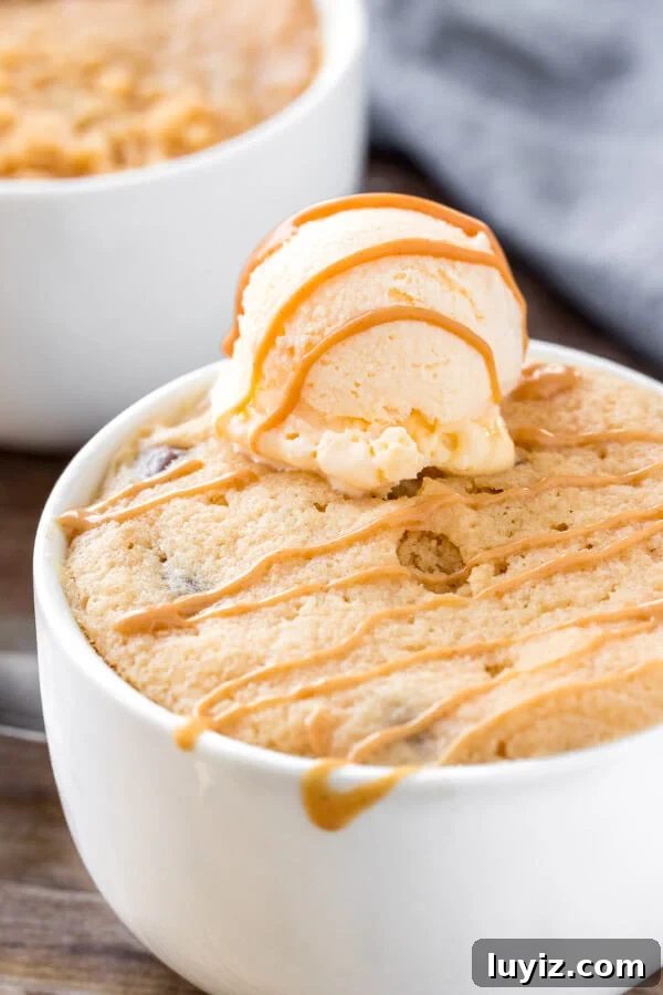 30-Minute Peanut Butter Mug Cake Recipe for One 5 Peanut butter mug cake topped with ice cream and a drizzle of peanut butter