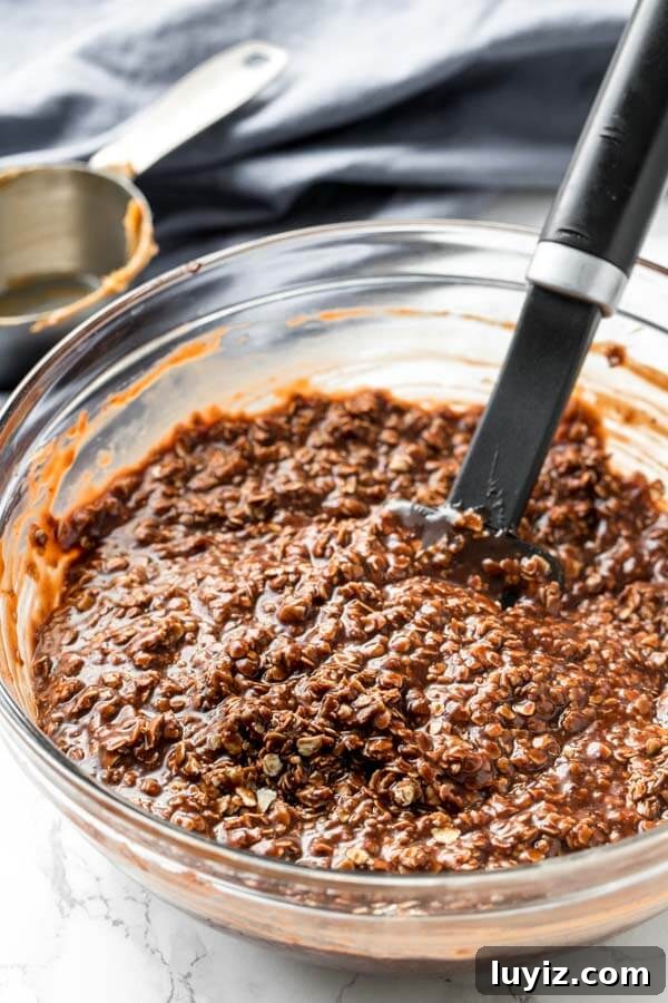 No-Bake Chocolate Peanut Butter Cookies Recipe 4 How to make chocolate peanut butter no bake cookies.