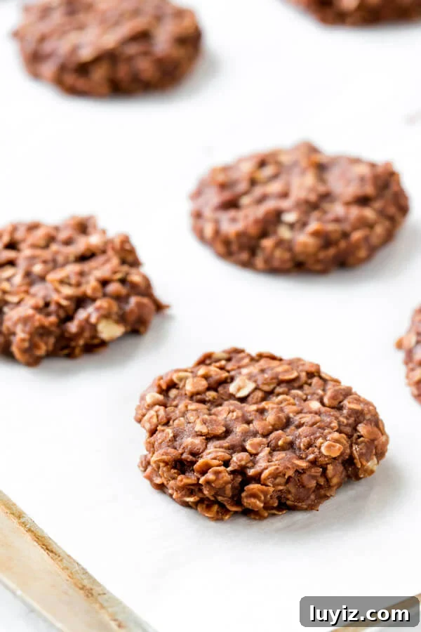 No-Bake Chocolate Peanut Butter Cookies Recipe 5 Peanut butter chocolate no bake cookies on a cookie sheet.