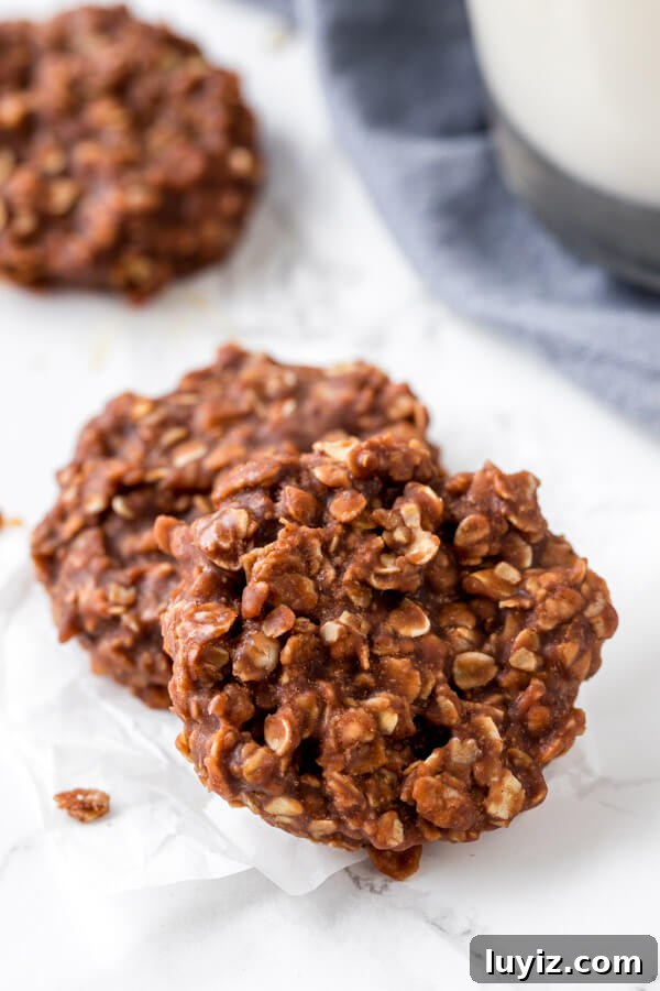 No-Bake Chocolate Peanut Butter Cookies Recipe 6 No bake cookies - soft, chewy, & made with oats, cocoa & peanut butter.