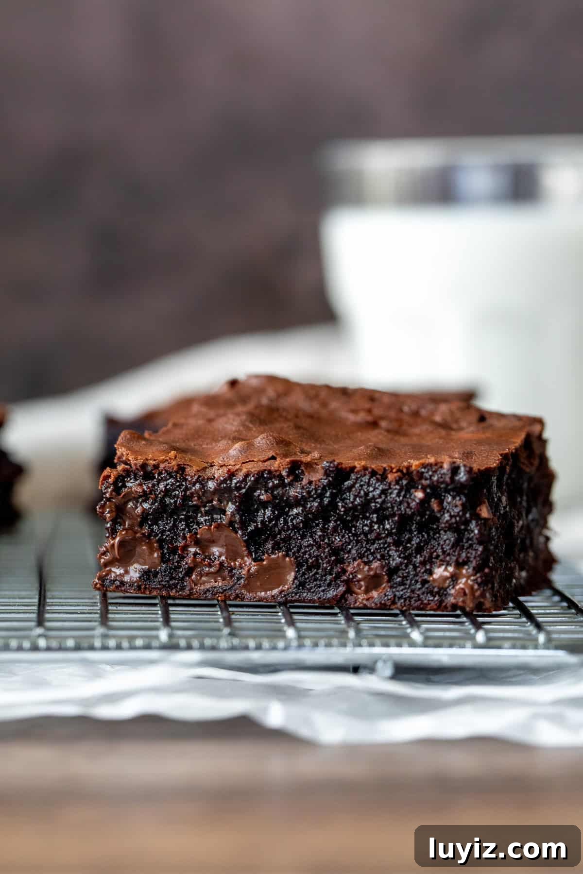 Chewy Fudgy Homemade Brownies Made with Cocoa 10 Gooey brownie on a cooling rack with a glass of milk