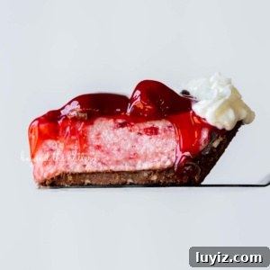 No-Bake Chocolate Strawberry Pie Recipe for Summer Parties 14 Single slice of no bake strawberry chocolate pie resting on a pie server with a white background.