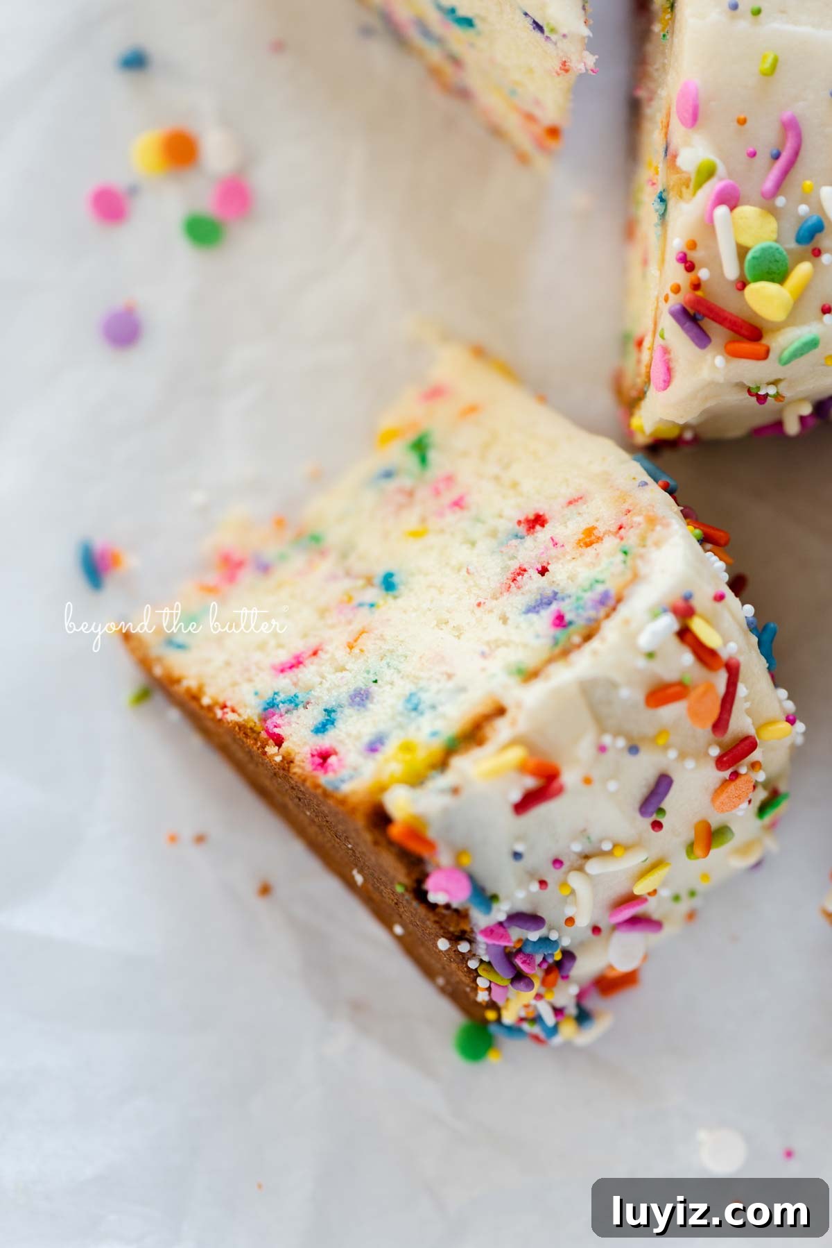 Single-Layer Funfetti Cake Recipe: Quick Party Dessert 5 Slices of single layer funfetti cake on their side from BeyondtheButter.com | All images © Beyond the Butter®