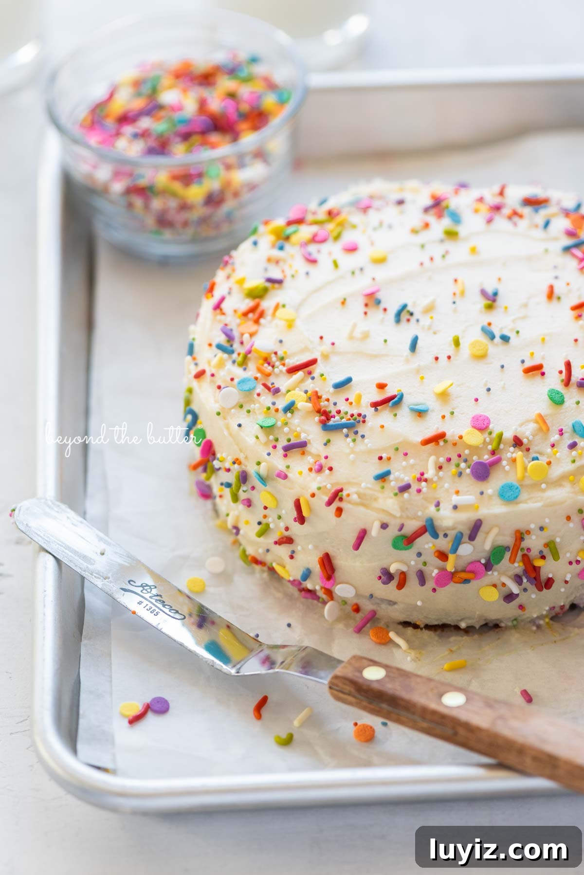 Single-Layer Funfetti Cake Recipe: Quick Party Dessert 7 Single layer funfetti cake just frosted and sprinkled from BeyondtheButter.com | All images © Beyond the Butter®
