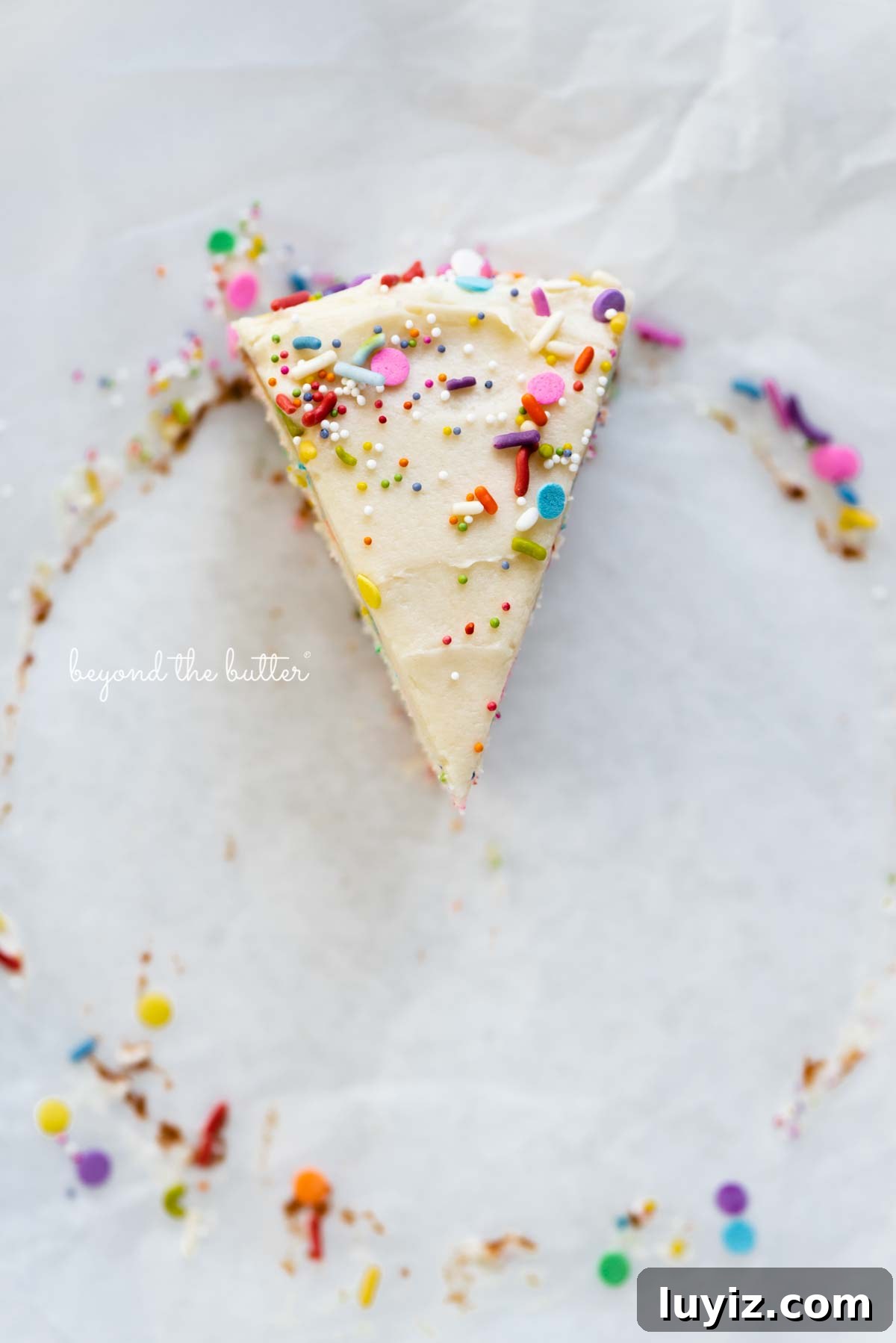 Single-Layer Funfetti Cake Recipe: Quick Party Dessert 10 Single slice of 6 inch funfetti cake from BeyondtheButter.com | All images © Beyond the Butter®
