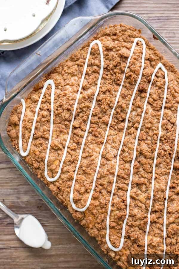 Cinnamon Streusel Coffee Cake Recipe with Moist Vanilla Crumb Topping 3 Overhead shot of a cinnamon streusel coffee cake with vanilla glaze