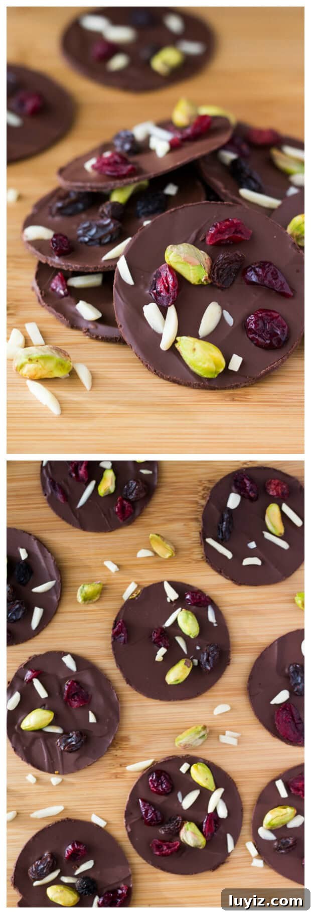 Dark Chocolate Fruit and Nut Clusters: Homemade No-Bake Treats 3 Delicious Dark Chocolate Fruit & Nut Clusters with pistachios, almonds, dried cranberries and raisins. Ready in minutes and so pretty, they make a great gift too!