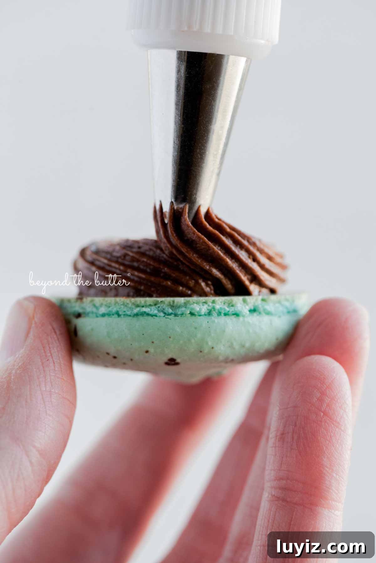 Robin’s Egg Macarons Recipe: How to Make Delicate Blue Pastries 10 Piping milk chocolate frosting onto a robin's egg macaron shell from BeyondtheButter.com | All images © Beyond the Butter®