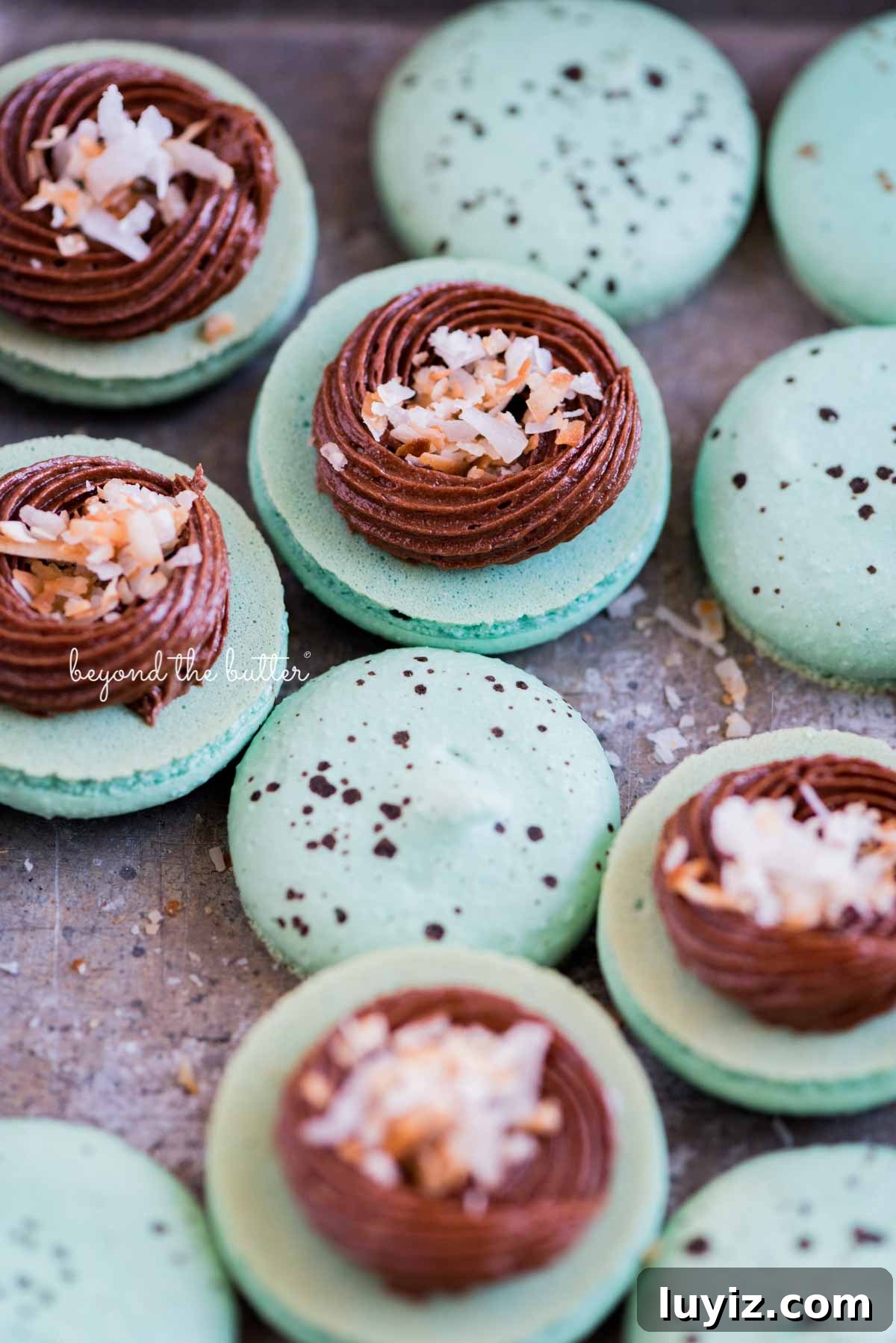 Robin’s Egg Macarons Recipe: How to Make Delicate Blue Pastries 11 Robin's egg macarons opened and half filled with milk chocolate frosting and toasted coconut flakes in a vintage bake pan | All images © Beyond the Butter®