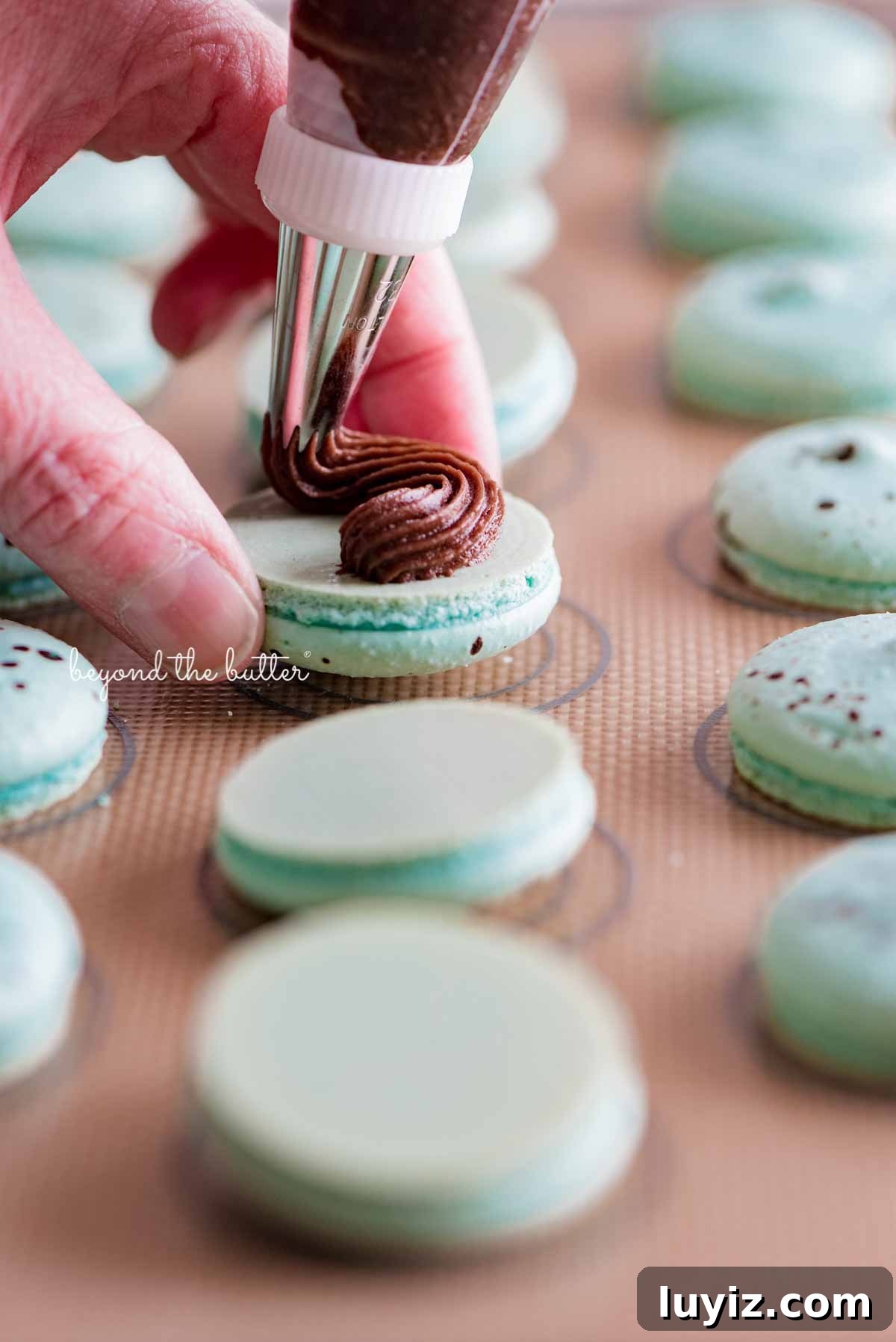 Robin’s Egg Macarons Recipe: How to Make Delicate Blue Pastries 3 Piping milk chocolate frosting onto robin's egg macaron shells from BeyondtheButter.com | All images © Beyond the Butter®
