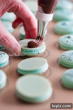 Robin’s Egg Macarons Recipe: How to Make Delicate Blue Pastries 7 Piping milk chocolate frosting onto robin's egg macaron shells from BeyondtheButter.com | All images © Beyond the Butter®