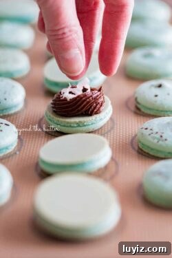 Robin’s Egg Macarons Recipe: How to Make Delicate Blue Pastries 8 Adding toasted coconut flakes to the center of each robin's egg macaron shell from BeyondtheButter.com | All images © Beyond the Butter®