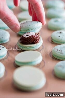 Robin’s Egg Macarons Recipe: How to Make Delicate Blue Pastries 9 Sandwiching a robin's egg macaron shell together with another macaron shell | All images © Beyond the Butter®
