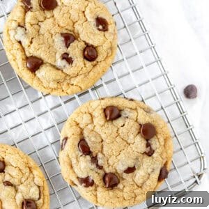 Small-Batch Chocolate Chip Cookies: Quick No-Chill Recipe 11 chocolate chip cookies on a wire cooling rack