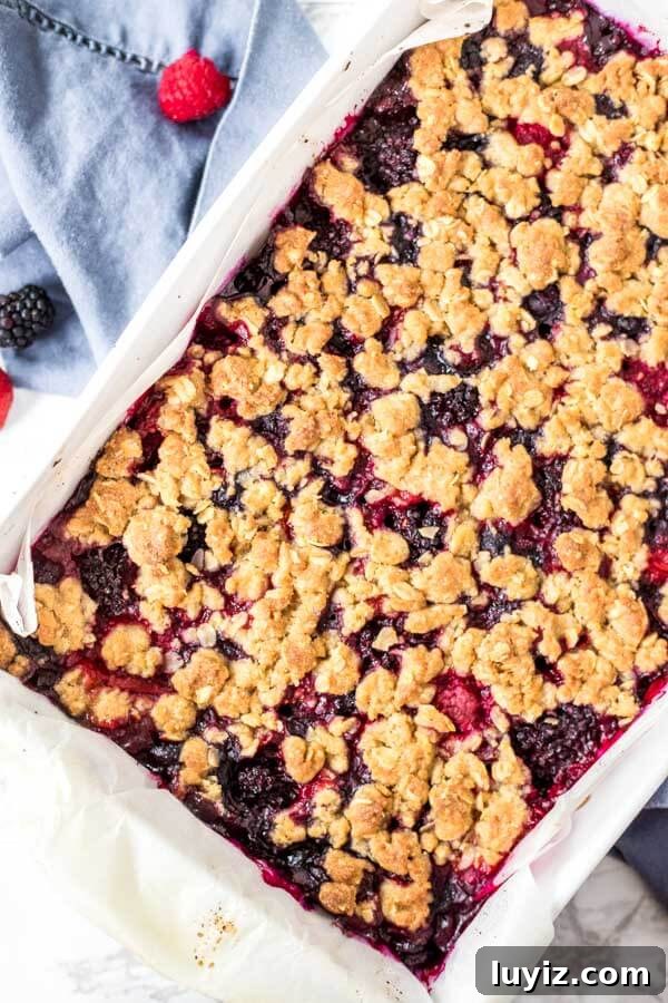 Mixed Berry Crumble Bars Recipe — Quick Fruit Dessert Bars 3 Overhead shot of mixed berry oatmeal crumble bars fresh out of the oven.