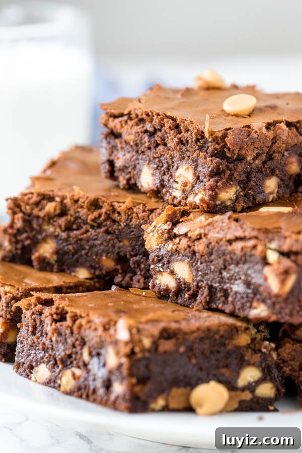 A plate of chocolate peanut butter brownies filled with peanut butter chips.