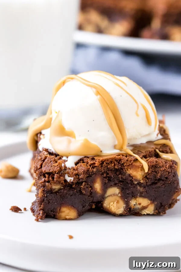 A gooey peanut butter brownie with vanilla ice cream and a drizzle of peanut butter.