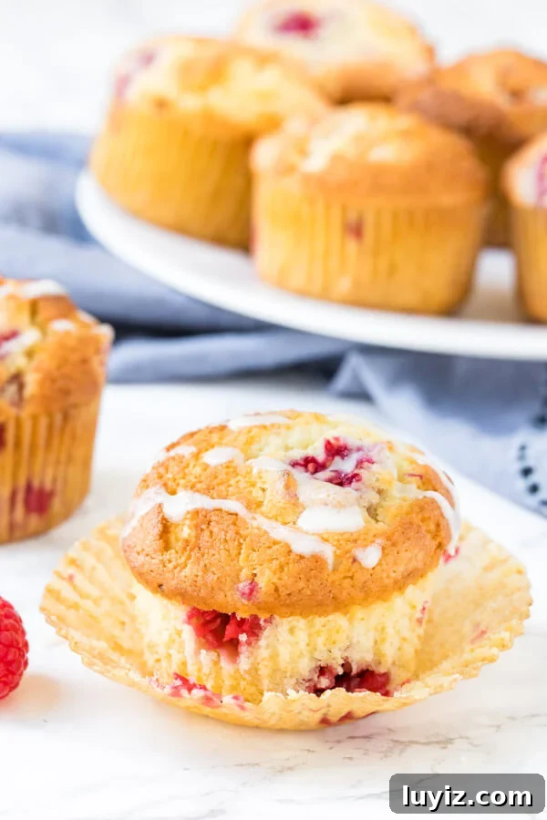 Fluffy Raspberry Muffins Filled with Juicy Berries 34 Homemade raspberry muffins are fluffy, moist and filled with sweet, juicy berries.