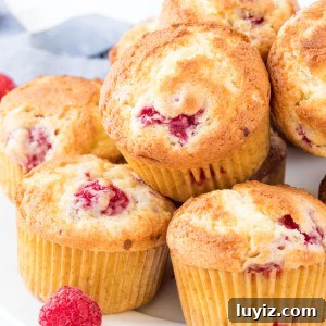 Fluffy Raspberry Muffins Filled with Juicy Berries 6 A plate of moist raspberry muffins with a hint of lemon in the batter.