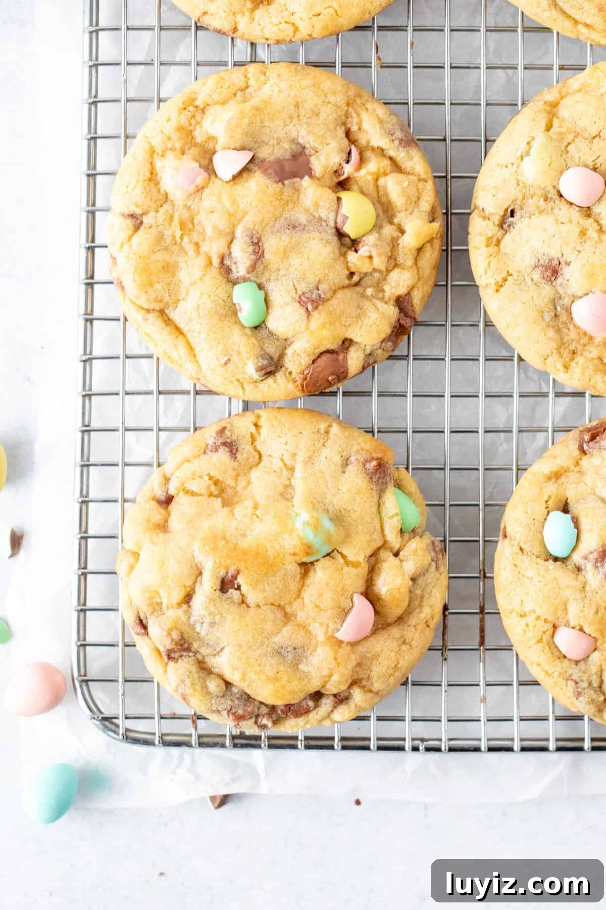 Mini Egg Cookie Recipe: Crispy Chocolate Shell Cookies for Easter 3 mini egg cookies on a cooling rack