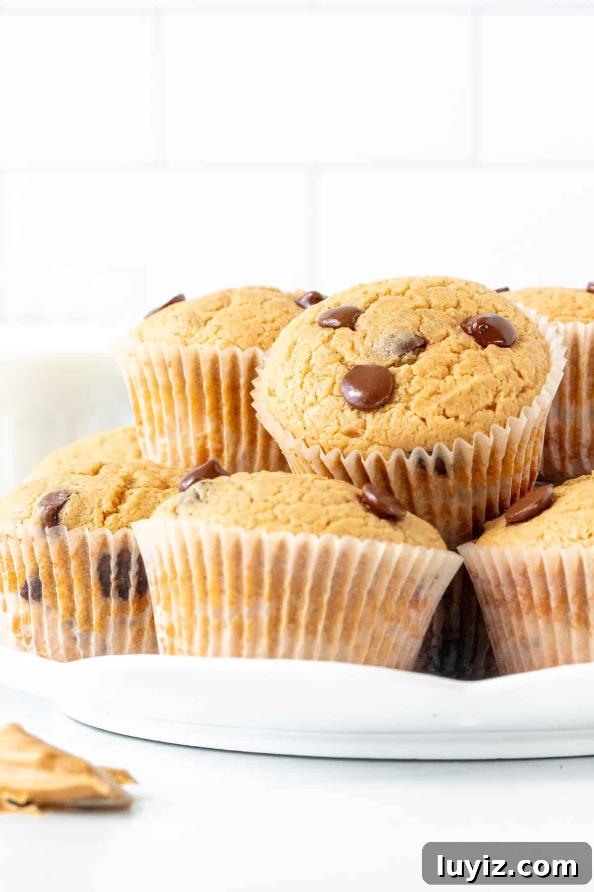 Irresistible Peanut Butter Muffins with a Crispy Top 3 Plate of peanut butter muffins