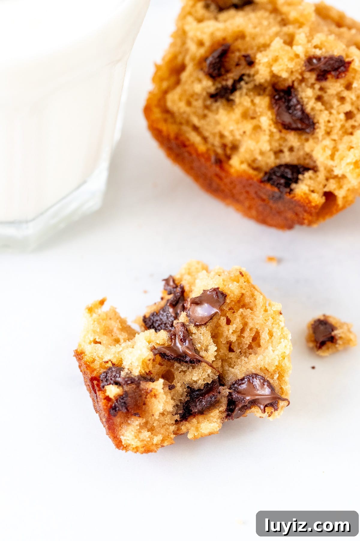 Irresistible Peanut Butter Muffins with a Crispy Top 6 Piece of warm peanut butter chocolate chip muffin with glass of milk