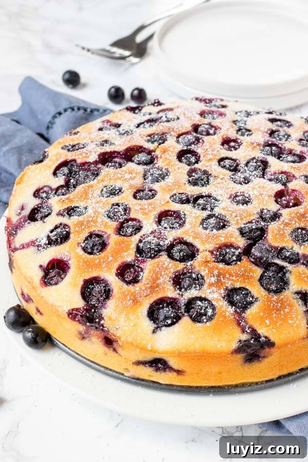 Moist blueberry cake with tons of blueberries on top and in the middle with just a hint of lemon. 
