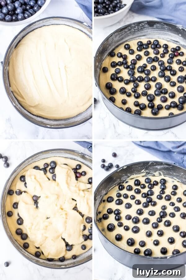 Moist Blueberry Cake Recipe with Fresh Berries 4 Step by step collage photos showing how to make blueberry cake that's moist and tender.
