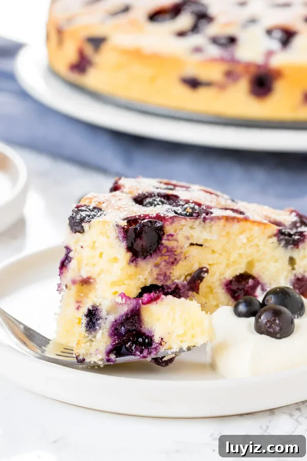 Moist Blueberry Cake Recipe with Fresh Berries 5 Close up shot of a slice of moist blueberry cake with a bite taken out of it.