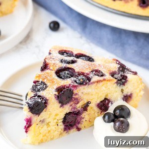 Beautiful blueberry cake is supremely moist, with a deliciously soft & tender crumb, and a slight hint of lemon. It's not too sweet - which makes it ideal for afternoon tea or brunch.