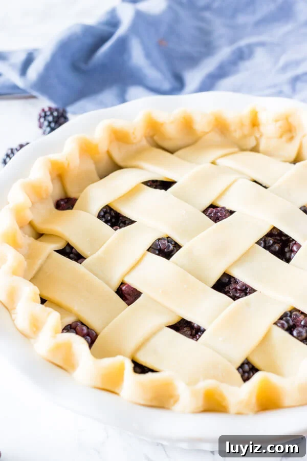 Classic Homemade Blackberry Pie Recipe for Summer Baking 4 Unbaked blackberry pie with a lattice crust and crimped edges.