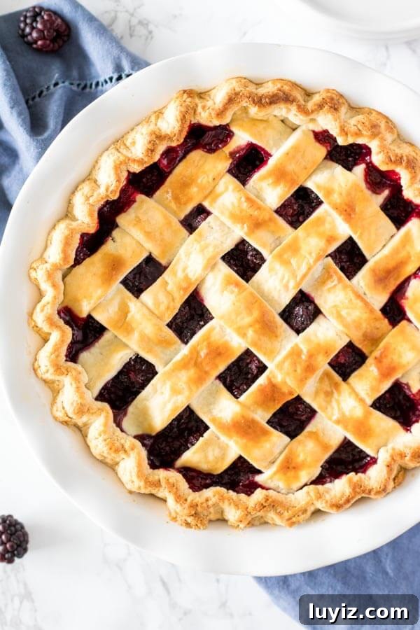 Classic Homemade Blackberry Pie Recipe for Summer Baking 5 Baked blackberry pie with a lattice top. Made from scratch with flaky pastry crust.