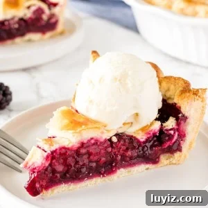 A slice of blackberry pie with flaky pastry and a scoop of vanilla ice cream on top.