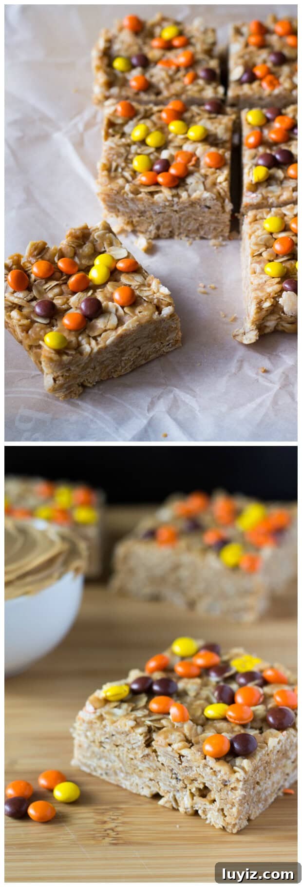 Crunchy Peanut Butter Granola Bars Recipe for Homemade Snacks 3 Make these super easy & super delicious Peanut Butter Granola Bars. Topped with Reese's Pieces - kids & adults will love these treats.