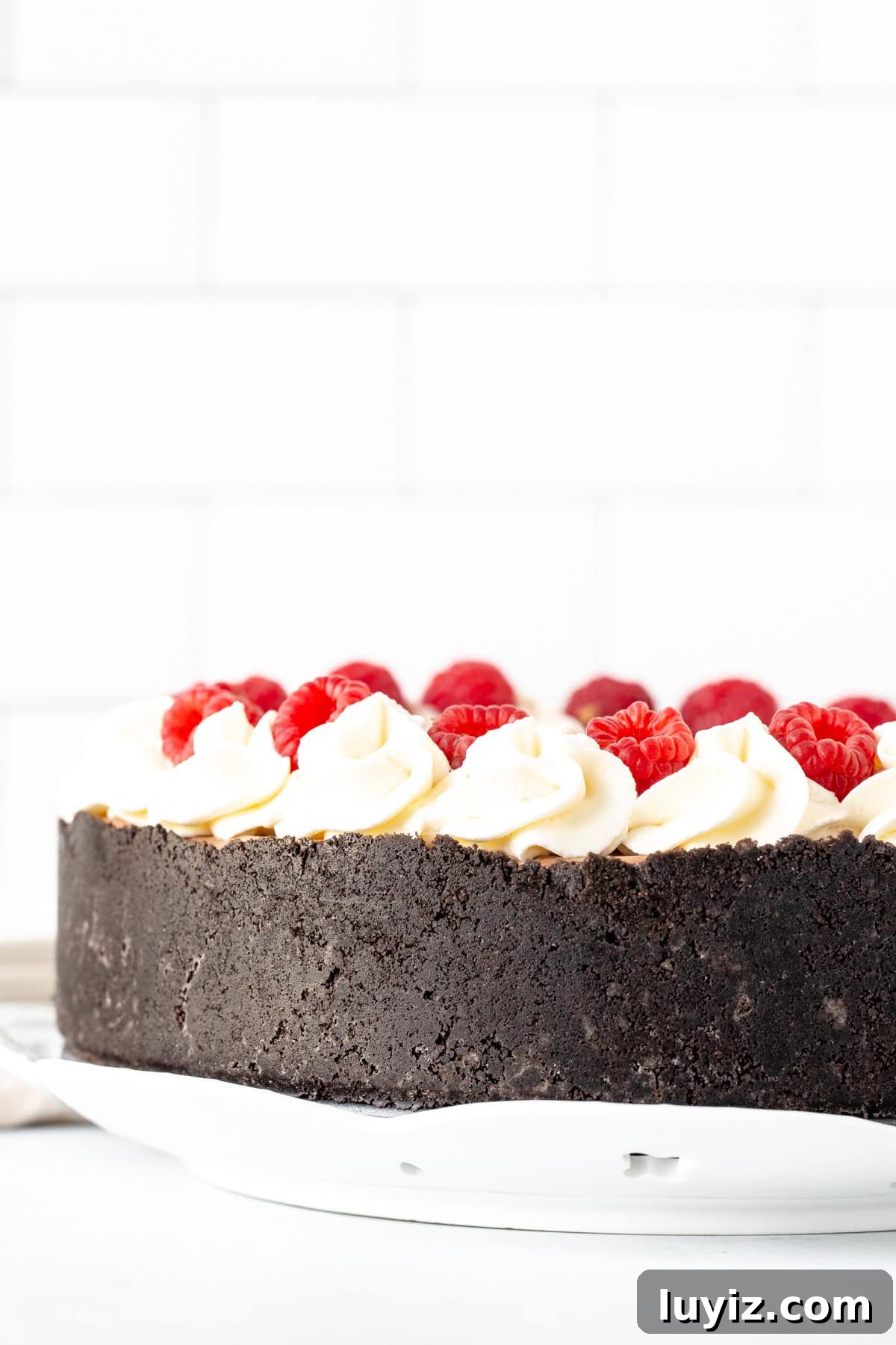 Creamy No-Bake Chocolate Cheesecake Recipe 3 Round chocolate cheesecake with Oreo crust, decorated with whipped cream and berries around the edges