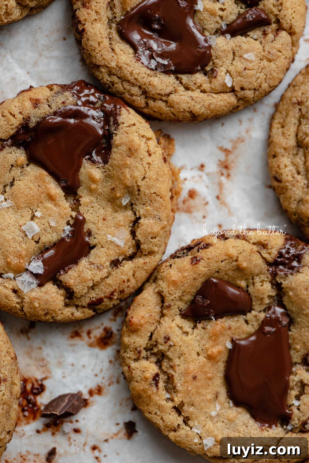 Gluten-Free Peanut Butter Chocolate Chunk Cookies (Small Batch) 8 Small batch gluten-free peanut butter chocolate chunk cookies on a parchment paper lined baking sheet | © Beyond the Butter®