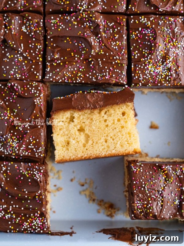 Lemon Raspberry Ricotta Cake Recipe — Moist Spring Dessert 14 Slices of 4 egg yellow sheet cake in blue baking tin.