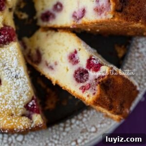 Lemon Raspberry Ricotta Cake Recipe — Moist Spring Dessert 16 Lemon raspberry ricotta cake dusted with powdered sugar on crackled ceramic cake stand and purple wood background.