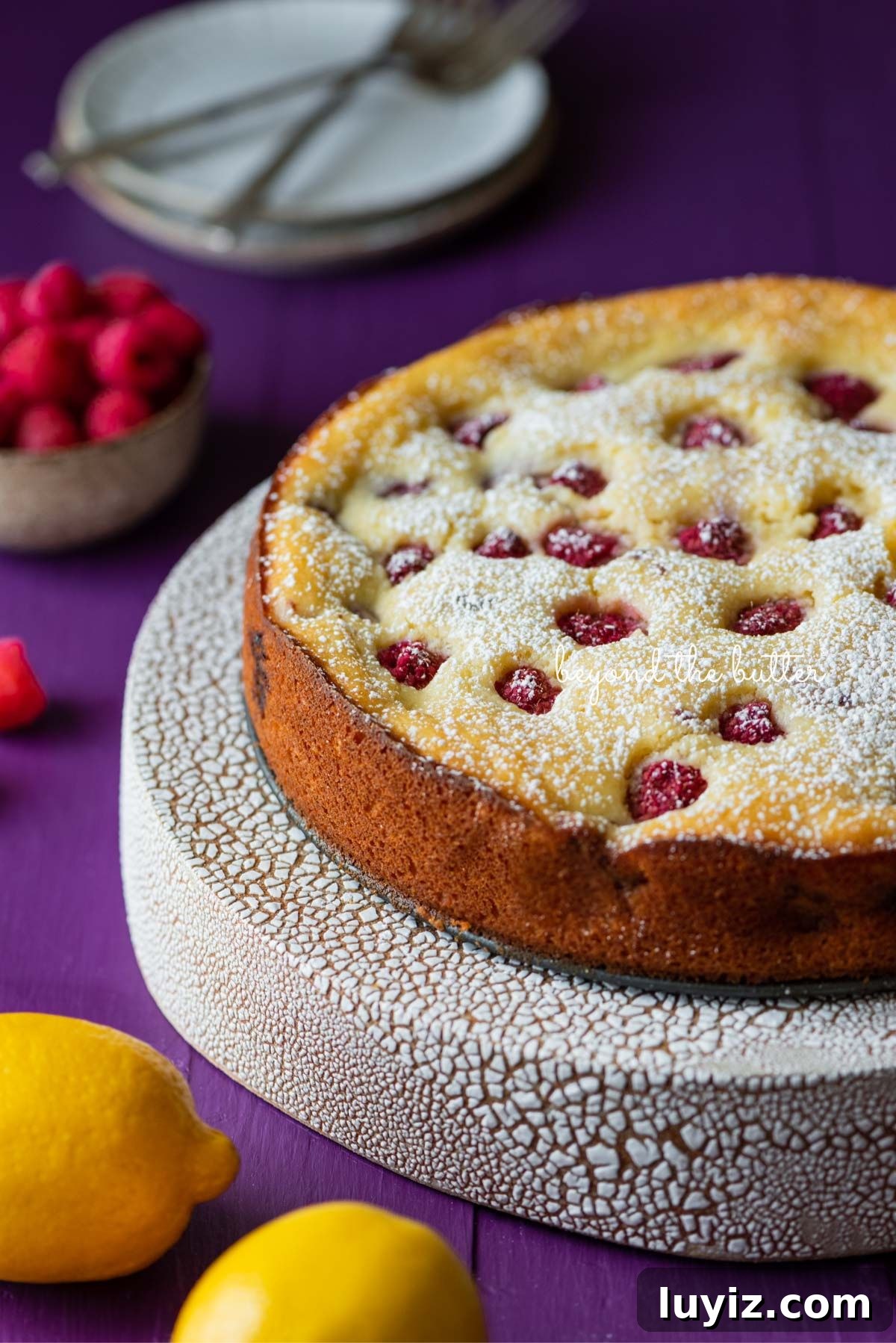 Lemon Raspberry Ricotta Cake Recipe — Moist Spring Dessert 3 Lemon raspberry ricotta cake dusted with powdered sugar on crackled ceramic cake stand and purple wood background.