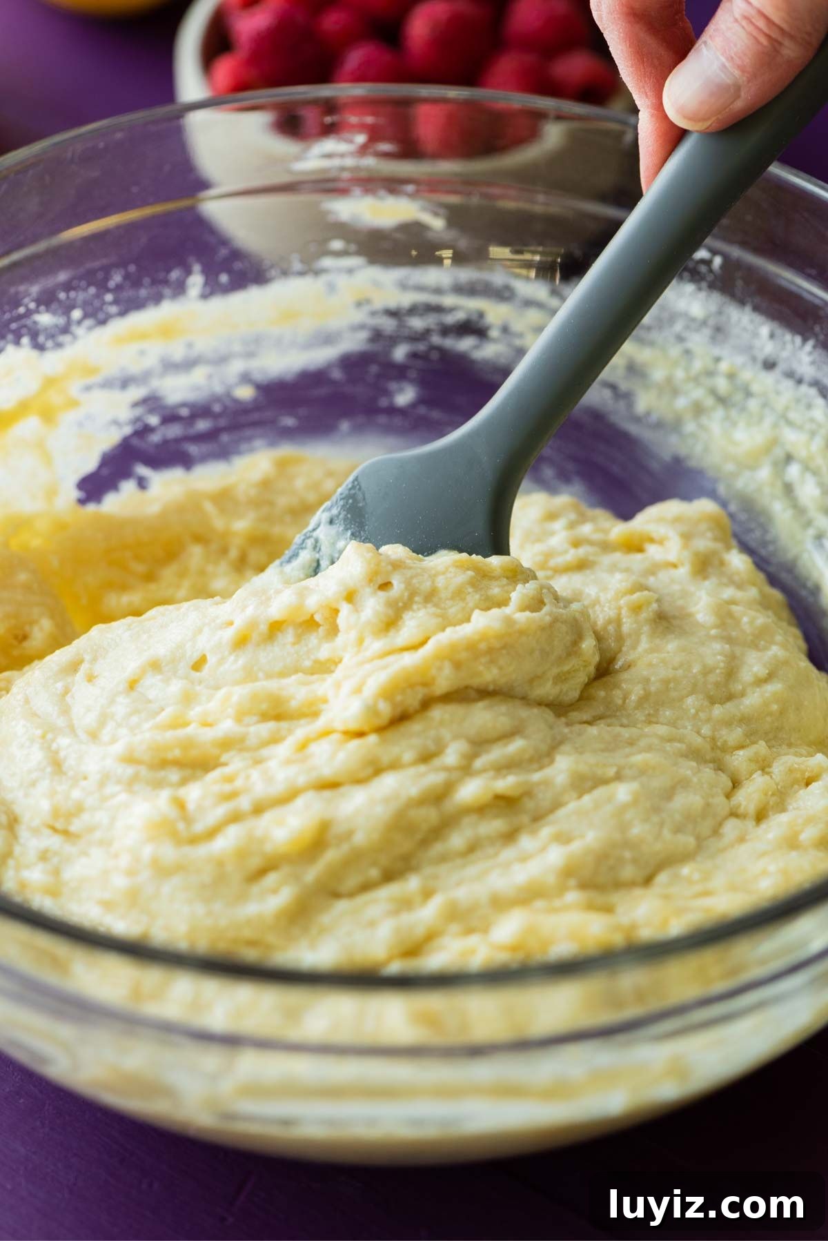 Lemon Raspberry Ricotta Cake Recipe — Moist Spring Dessert 7 Adding the dry ingredients to wet mixture to make lemon raspberry ricotta cake.